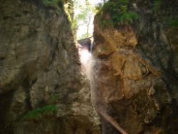 2013-07-20_Regina-F-Rau_Kochel-Rabenkopf (147).JPG